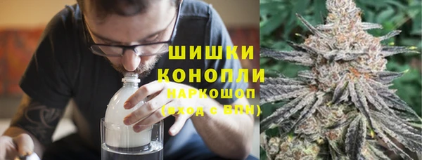крисы Аркадак