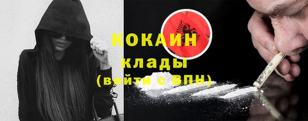 крисы Аркадак
