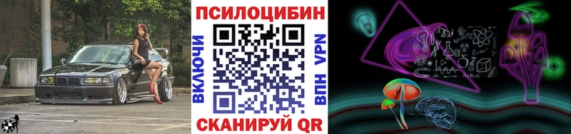 Галлюциногенные грибы Psilocybe  блэк спрут как войти  Мытищи 